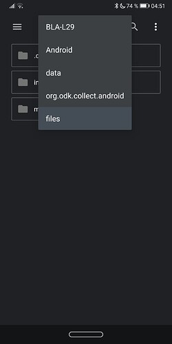 Screenshot_20201122_045150_com.android.documentsui