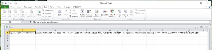 Screenshot%20xml%20submission%20file%20showing%20Lao%20characters