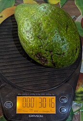 Screenshot 2025-05-20 at 11.38.10 AM