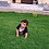 Irfan_Akbar