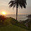 renato_cava