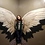 Shirley_Chen